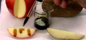 Test an organic substance for the presence of starch
