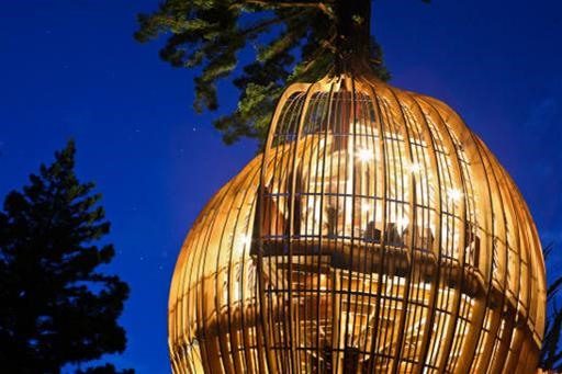 World's Most Magical Treehouses
