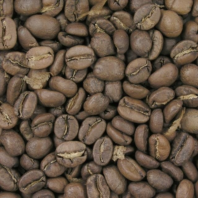 From Beans to Your Cup: A Coffee Primer