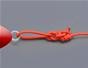 Tie the Rapala knot with a knot tying animation