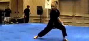 Kick-Ass Karate Kid