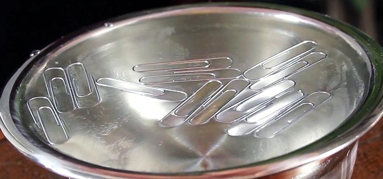 Make a Paperclip Float on Water