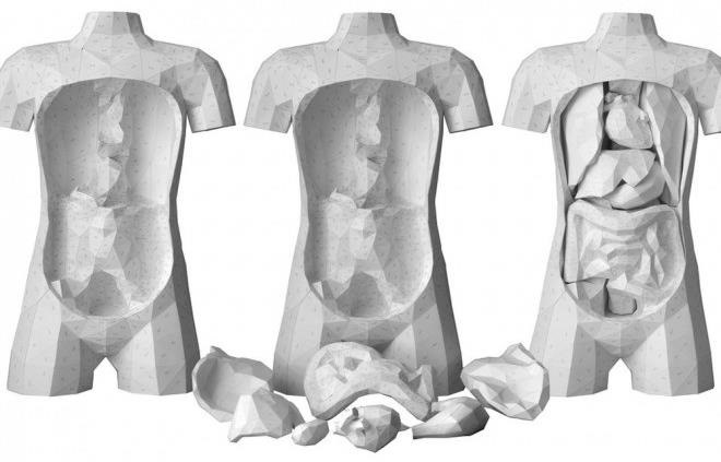 PhD in Paper Craft: Make This Insanely Detailed & Anatomically Correct Human Torso—Complete with Removable Organs