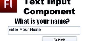 Include the Text Input component to your Flash-based websites