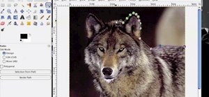 Use the path tool in GIMP for easier photo editing