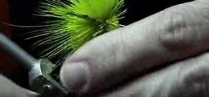 Tie a Bass Bug for fly fishing