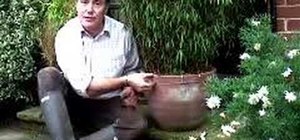 Repair cracked plant pots