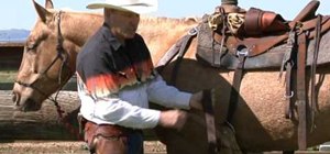 Properly cinch a saddle