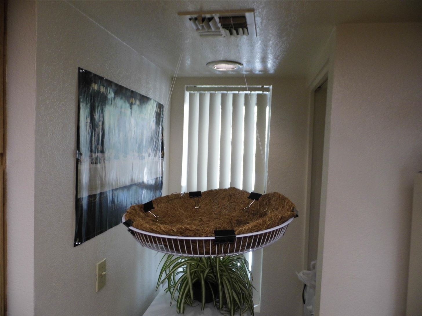 How to Turn an Old Fan Grille into a Decorative Plant Hanger