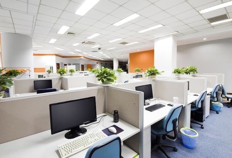 Having Just One Plant in Your Workspace Can Boost Your Overall Productivity