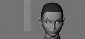 Model hair with polygons in Blender 2.49 or 2.5
