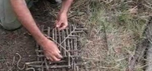 Building and setting an arapuca live bird trap