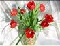 Make a Valentine Tulip vase