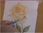 Paint a rose in watercolor