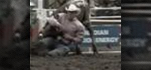 Steer wrestle at a rodeo