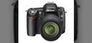 Operate the Nikon D80 digital camera