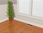 Refinish wood floors with an oscillating sander