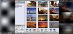 Search for photos by keyword and date using iPhoto