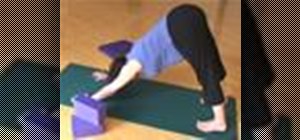 Do the downward facing dog while pregnant
