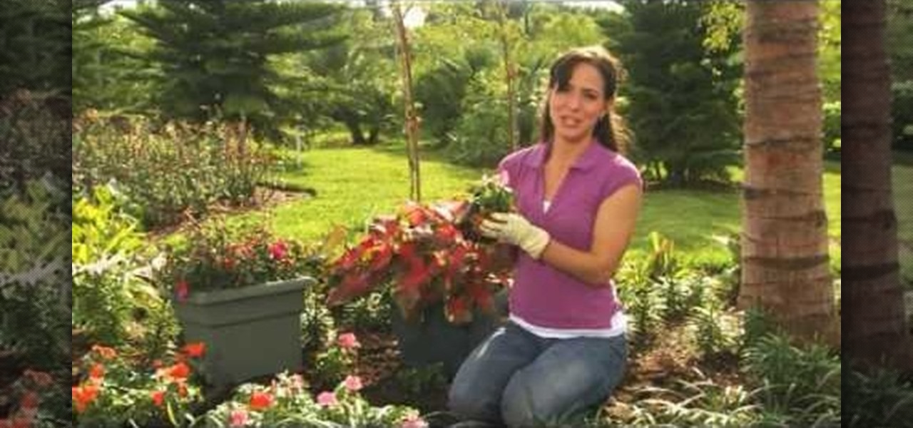 How To Choose Plants That Love Shade With Lowe S Gardening