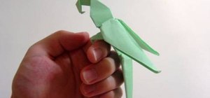 Fold an advanced origami macaw parrot
