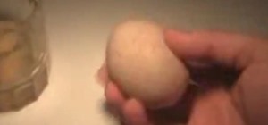 Turn a Shelled Egg into a Bouncing Translucent Ball