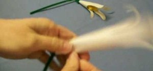 Craft a lily flower out of paper & pipe cleaner