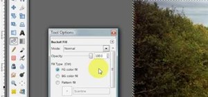 Give your images a widescreen border in GIMP