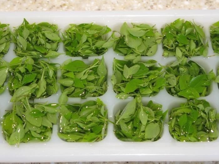 Ingredients 101: How to Select, Store, & Prep Fresh Herbs