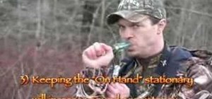 Use a short reed goose call