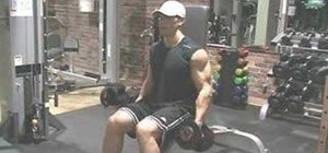 Do seated dumbbell hammer bicep curls