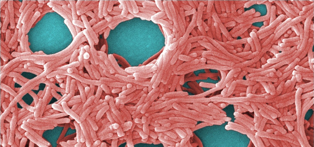 Deadly Legionnaires' Disease Bacteria Strikes Again at Two Nursing Homes in Pennsylvania