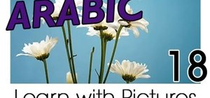 Learn flower and plant vocabulary in Arabic