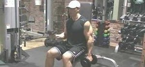 Do seated dumbbell hammer alternating bicep exercise