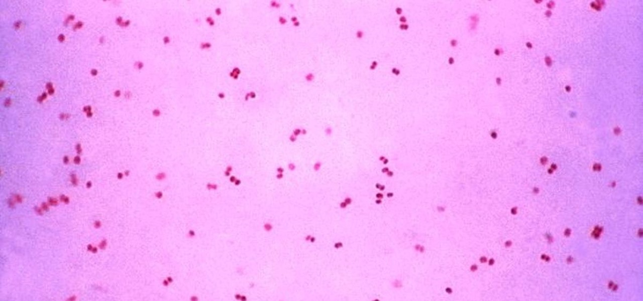 Finally, a New Drug Against 'Untreatable' Gonorrhea