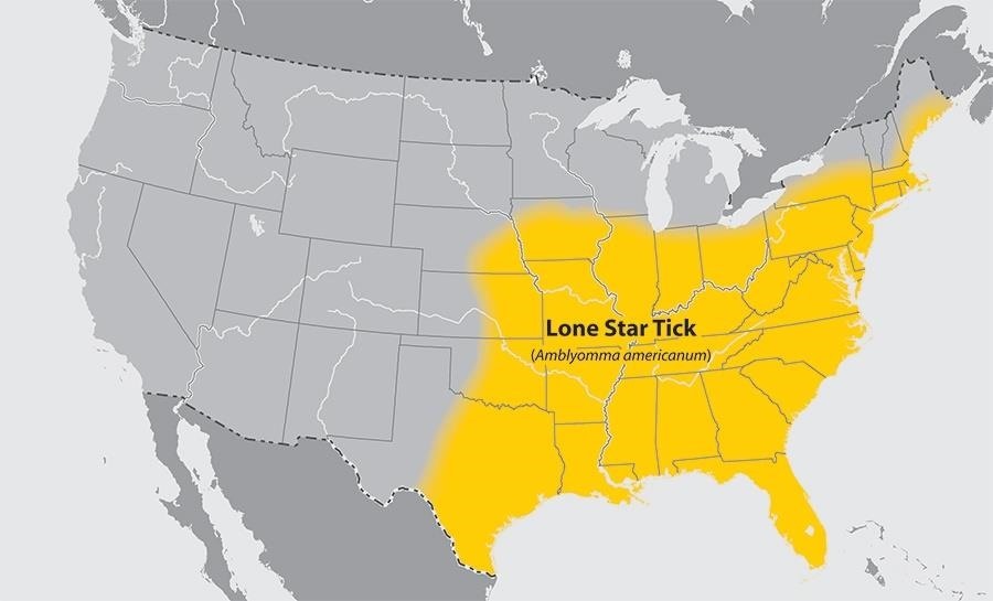 Lone Star Tick Arrives in Northeast with a Deadly, Underreported Infection