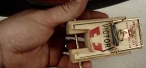 Build a simple mouse trap car