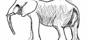 Draw a simple tusked elephant (elefante)
