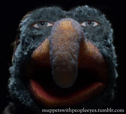 Humans In Muppet Skin
