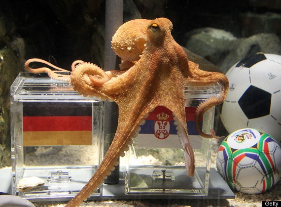Psychic Octopus Predicts World Cup Winners
