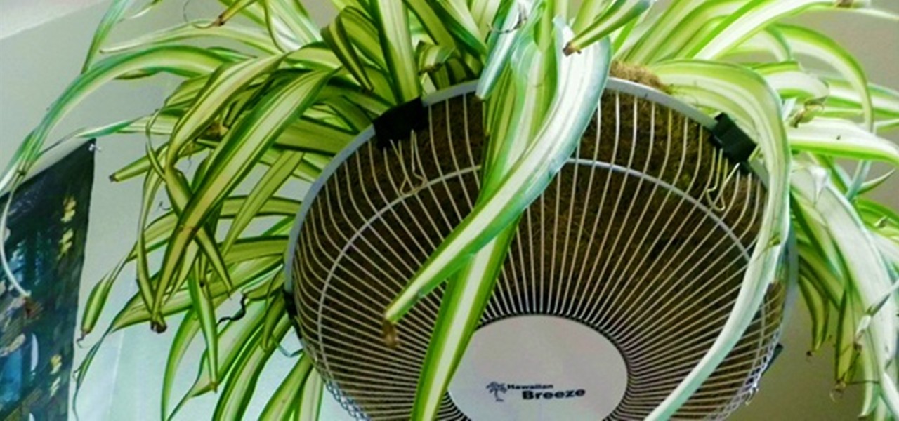 How To Turn An Old Fan Grille Into A Decorative Plant Hanger