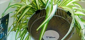 Turn an Old Fan Grille into a Decorative Plant Hanger