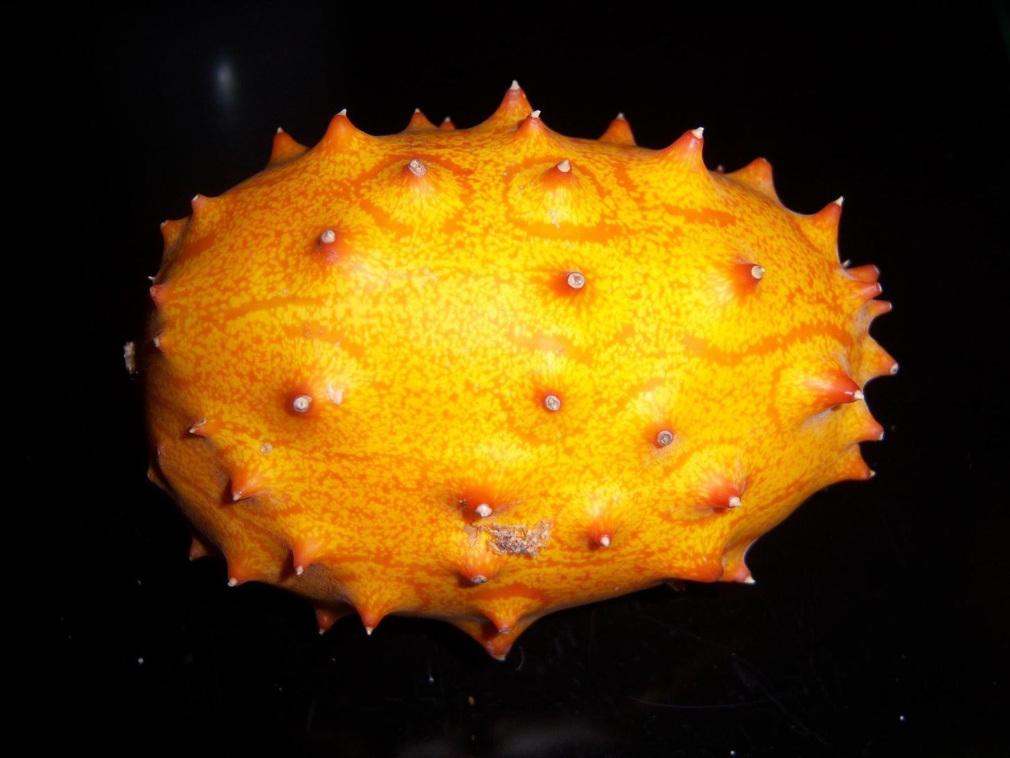 Weird Ingredient Wednesday: The Alien Melon from Star Trek
