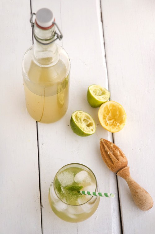 HowTo: DIY Ginger Ale - But Does It Beat Vernors?