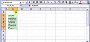 Work with dropdown lists in Microsoft Office Excel