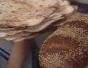 Make pumpernickel loaves and matzos