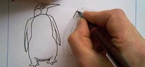 Draw penguins