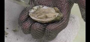 Shuck an oyster using an oyster knife