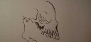 Draw a skull