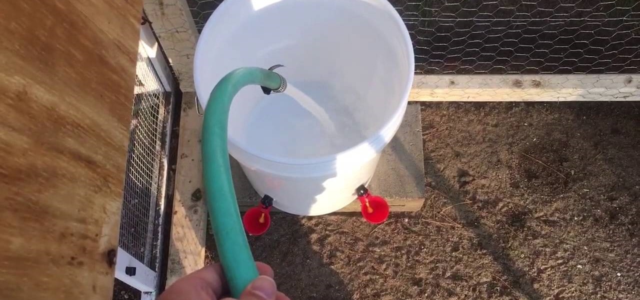 Make a Chicken Waterer Using 5 Gallon Bucket - Easy DIY